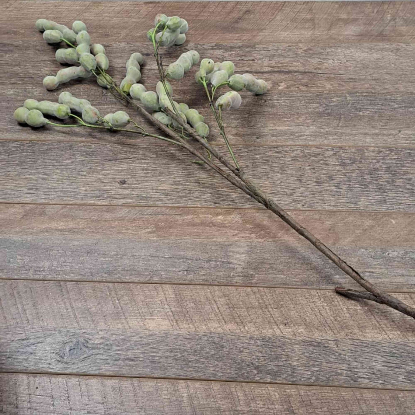 Artificial Foliage Silk Bean Branch
