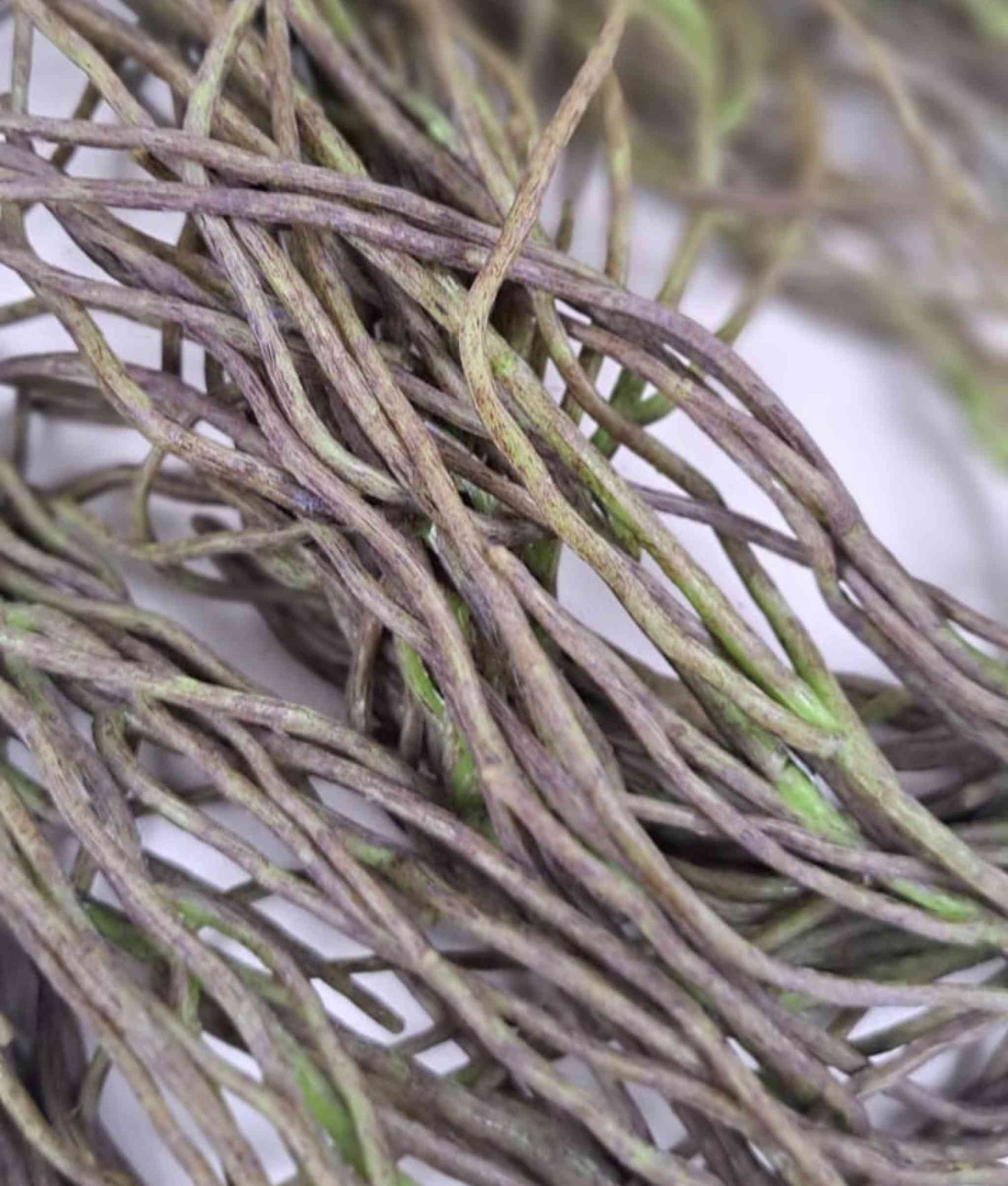 Artificial Foliage Sea Grass Vine