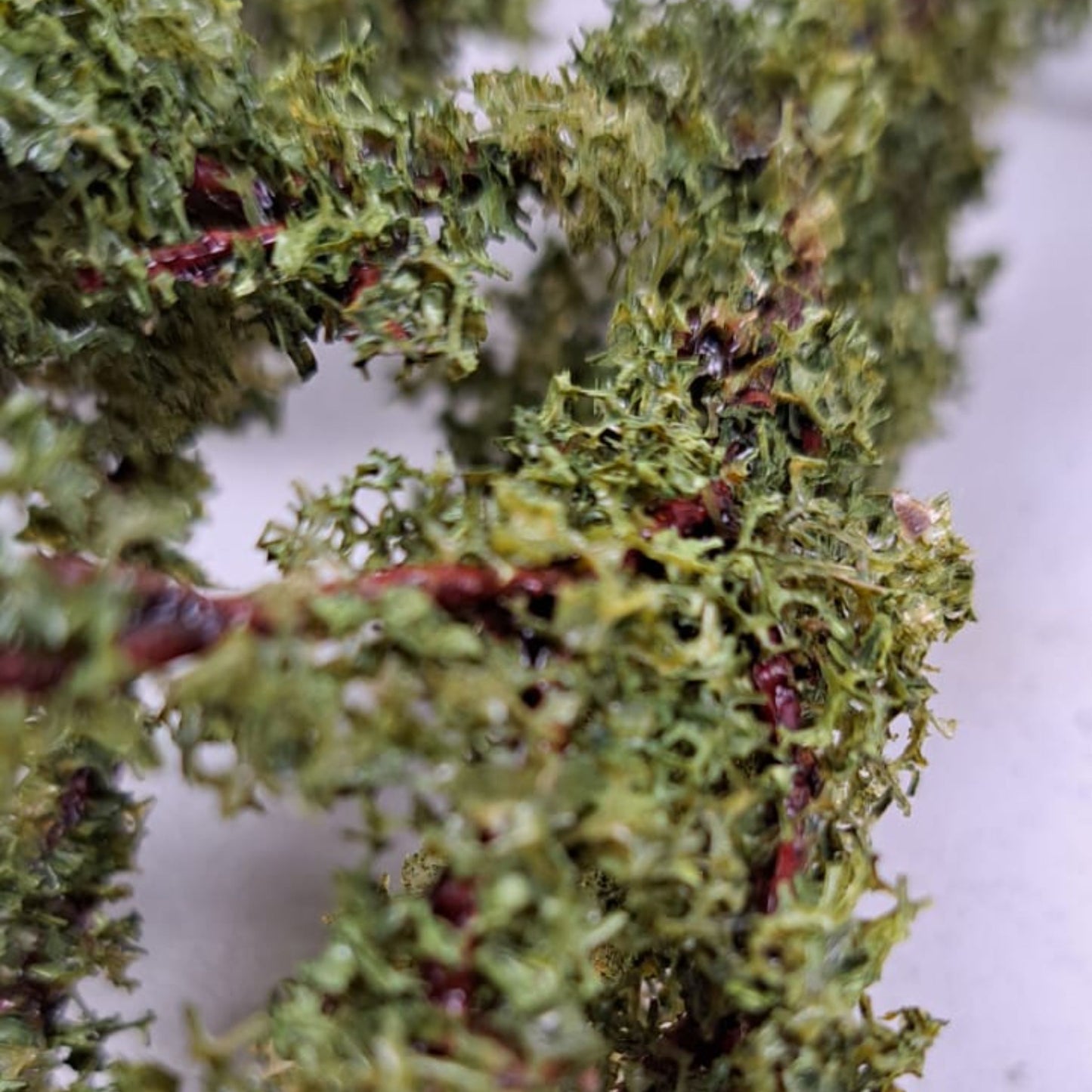Artificial Foilage Moss Stem