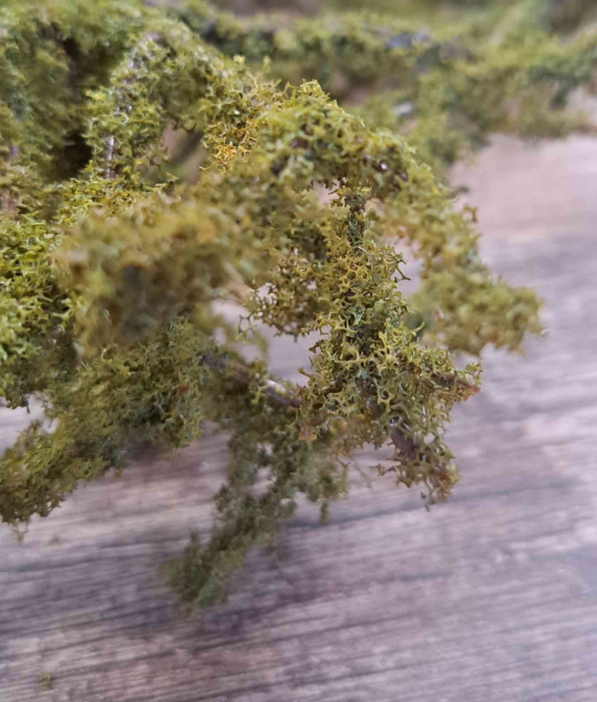 Artificial  Foilage Moss Branch