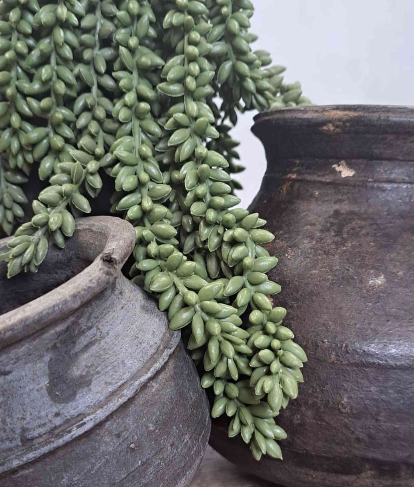 Artificial Hanging Succulent