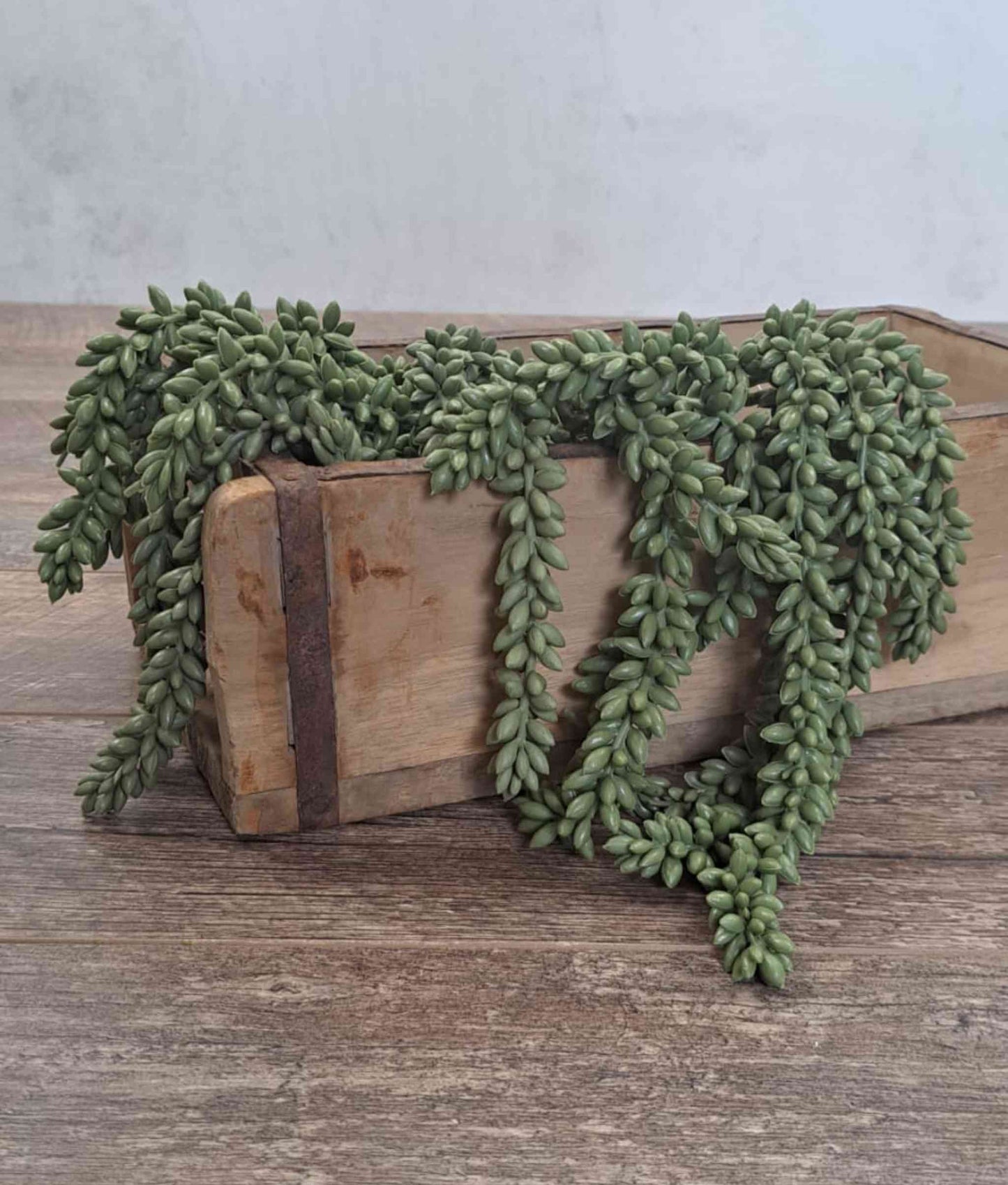 Artificial Hanging Succulent