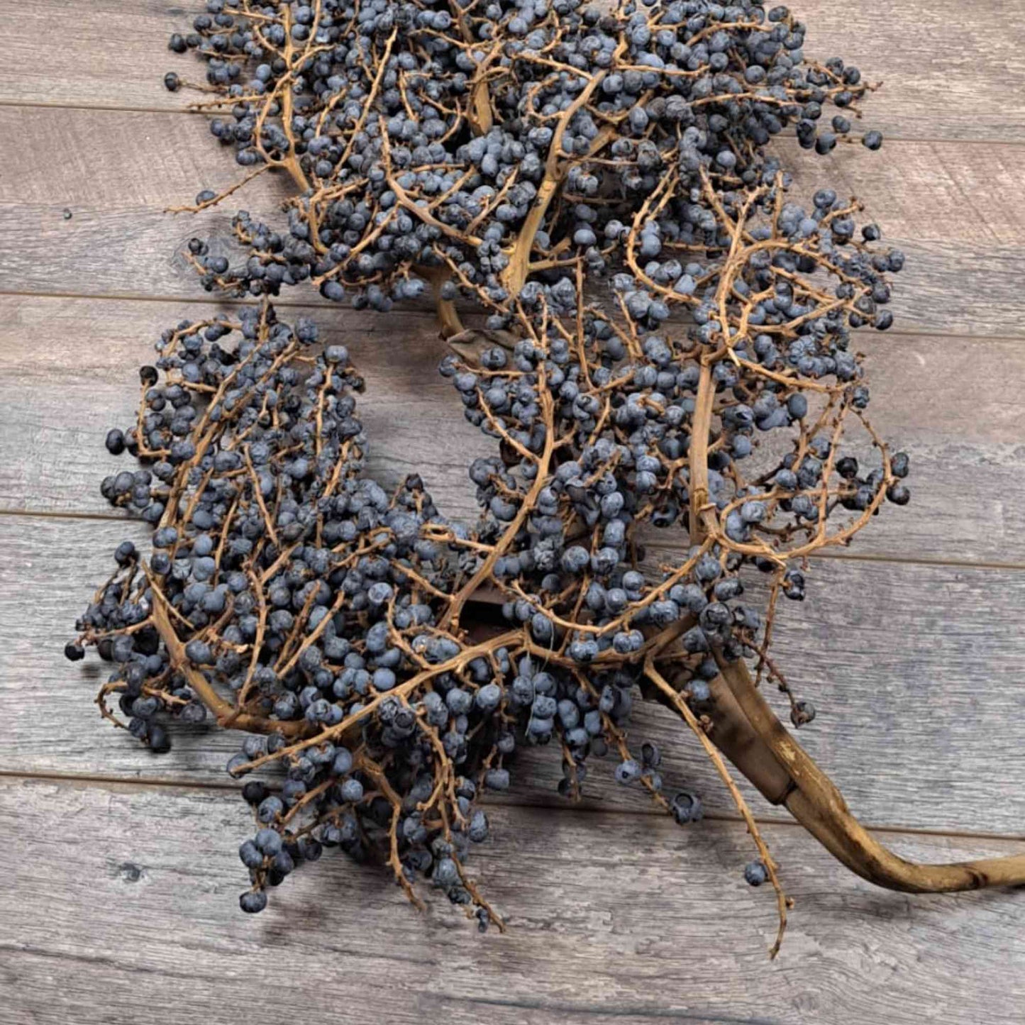 XXL Acai Berry Branch, 80cm Berries, Dried Acai Berries, Dried Palm Berries, Dried Brazilian Berries, Natural Florals, Natural Dried Florals