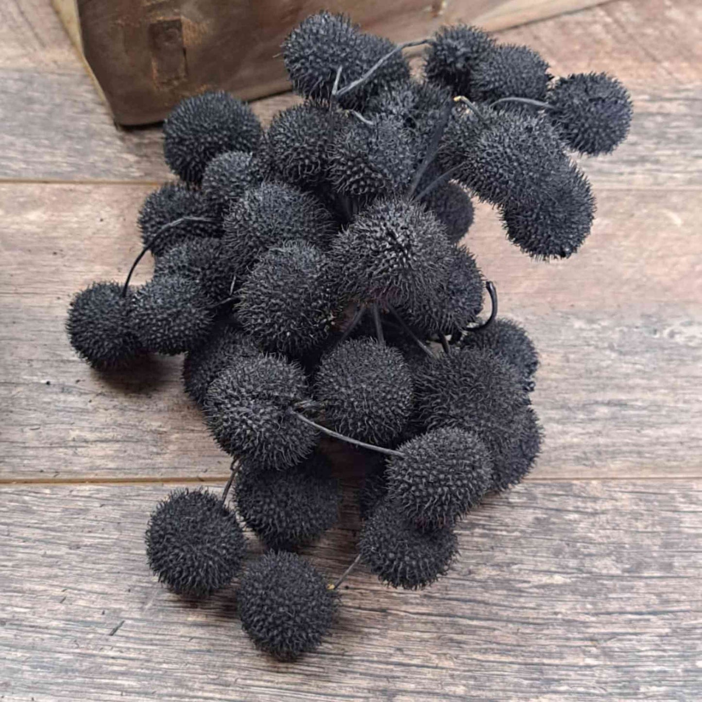 Platan Balls, Billy Balls, Woollyheads, Craspedia - Black