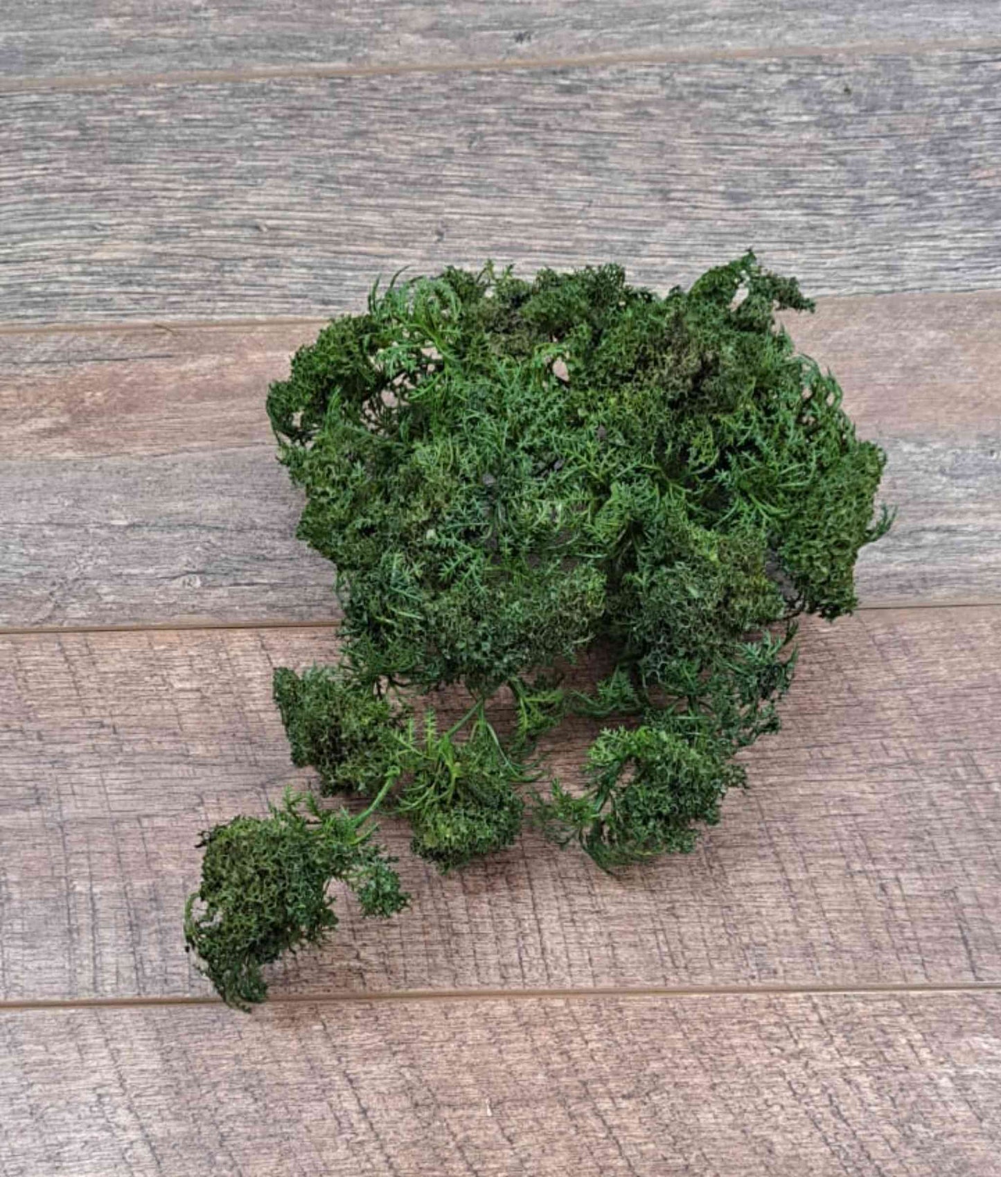 Artificial Foliage Moss Vine