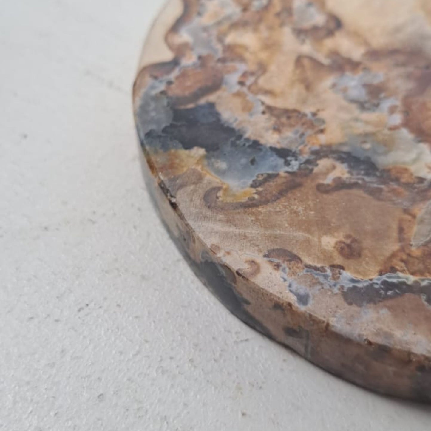 Petrified Wood Set of 6 Coasters