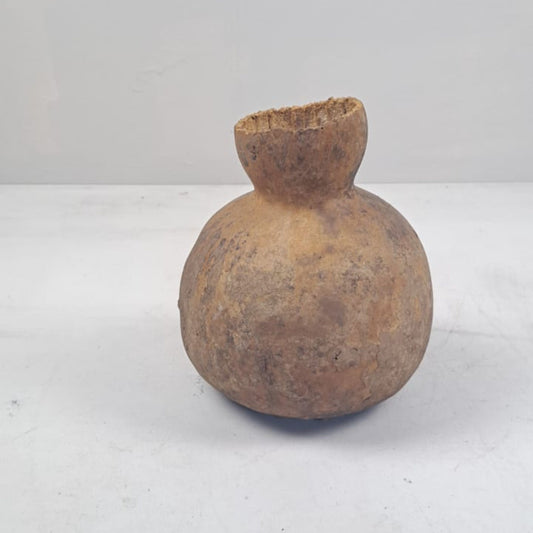 Unique African Calabash Gourd Water Bottle