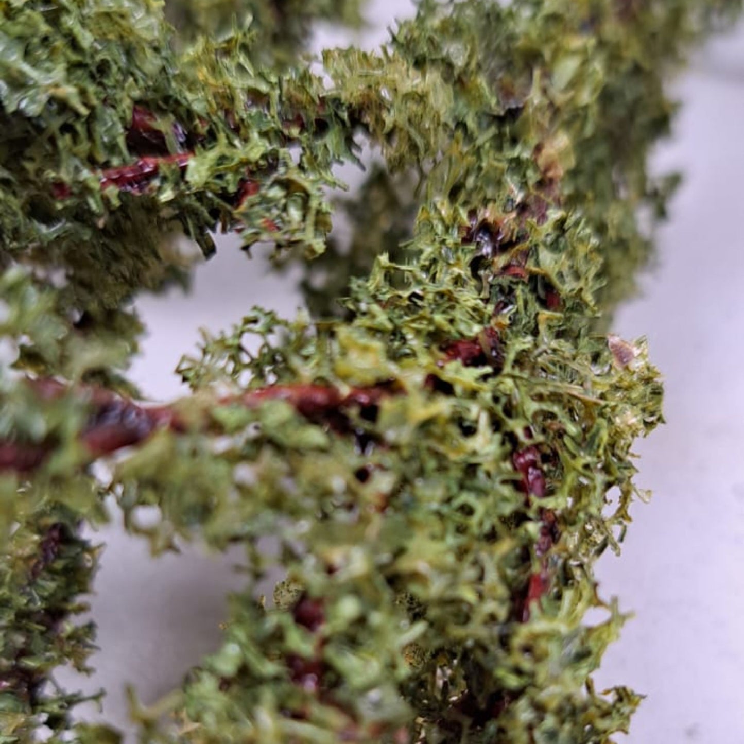 Artificial  Foilage Moss Stem