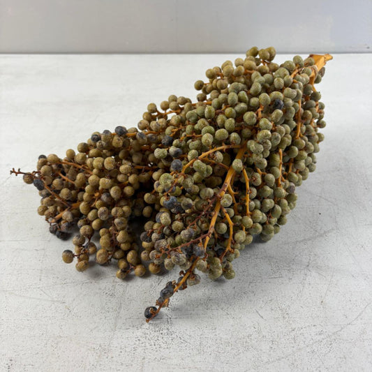 Dried Date Berry Branches