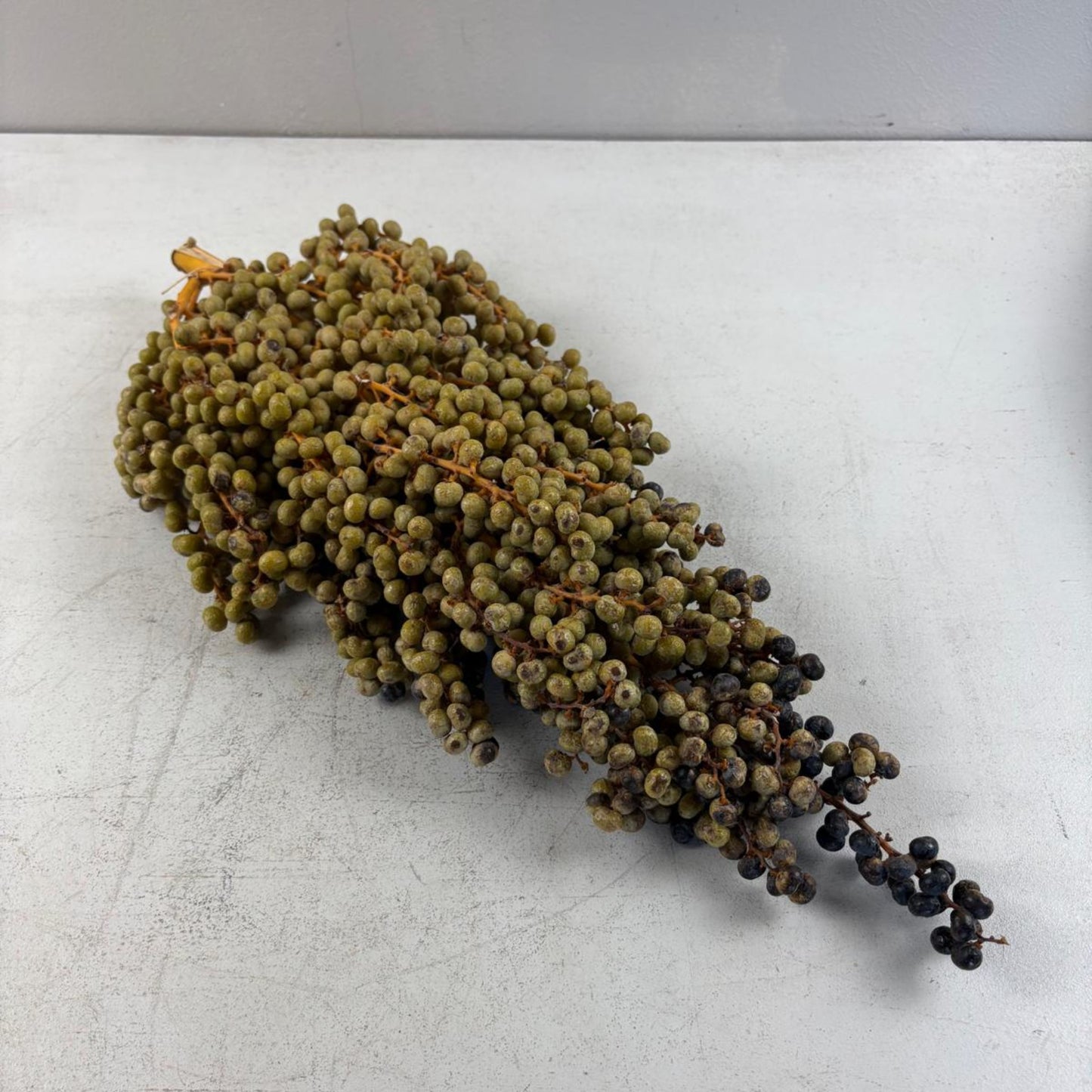 Dried Date Berry Branches