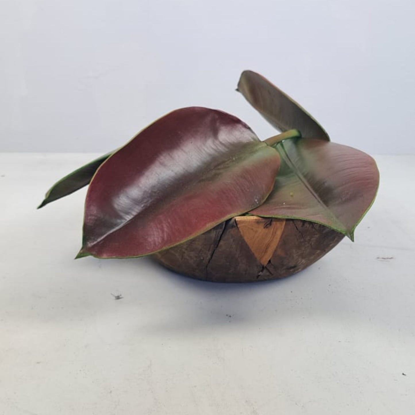 Artificial Foliage Rubber Tree Leaf