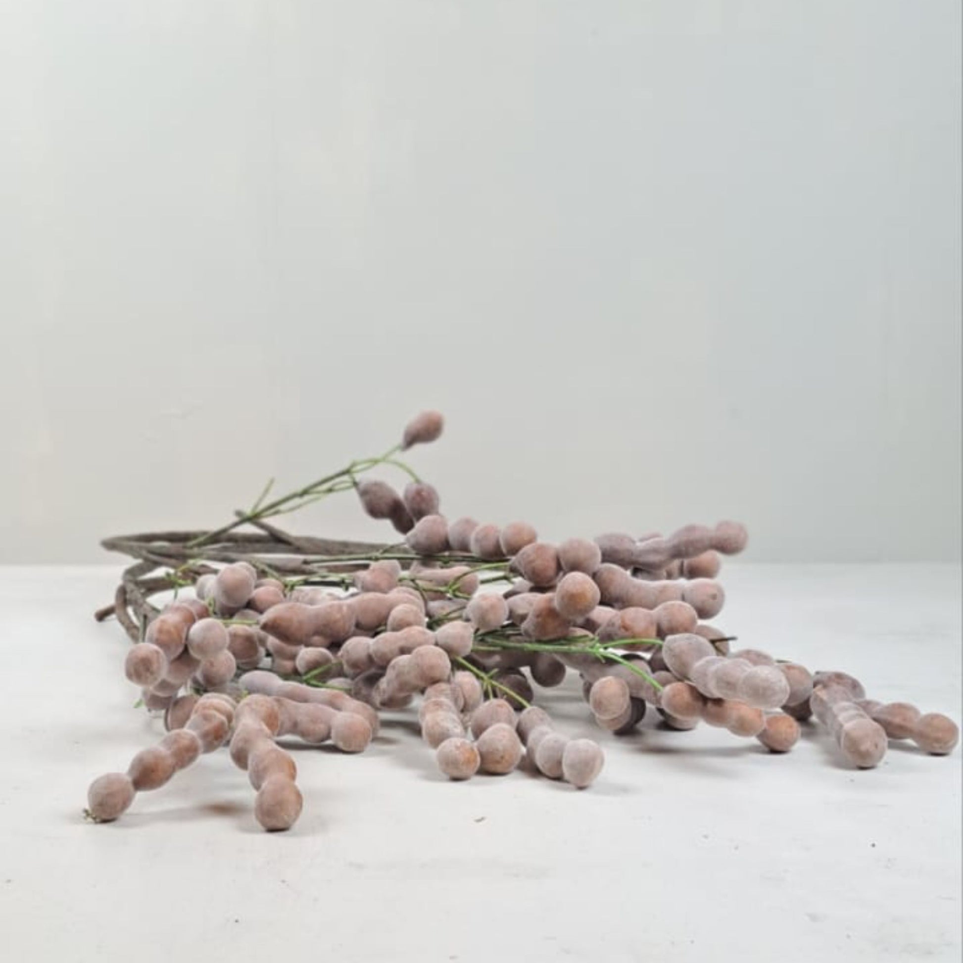 Artificial Foliage Silk Bean Branch